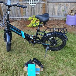 Electric BIKE Brand Lectric