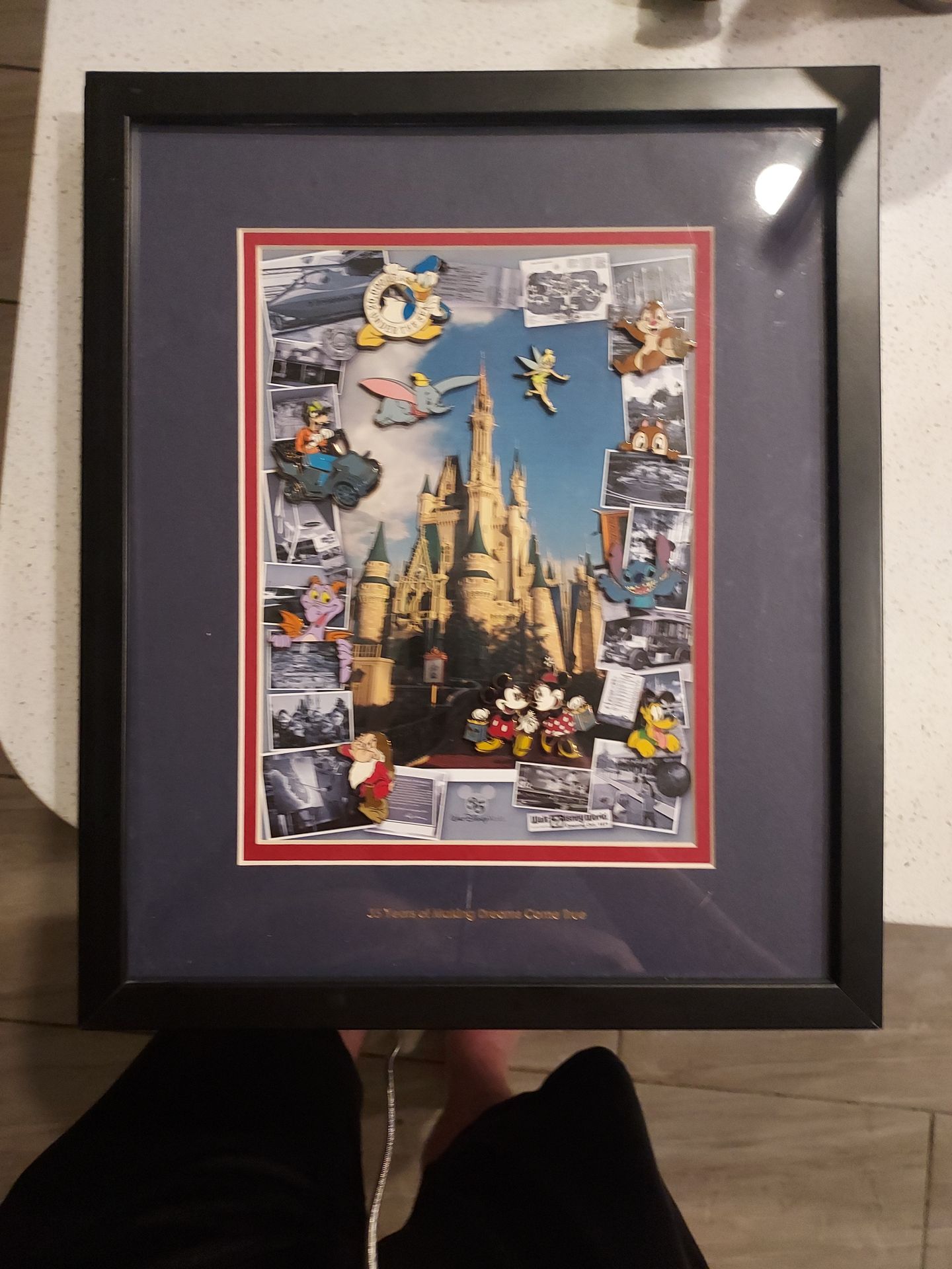 Disney 35th anniversary frame with pins
