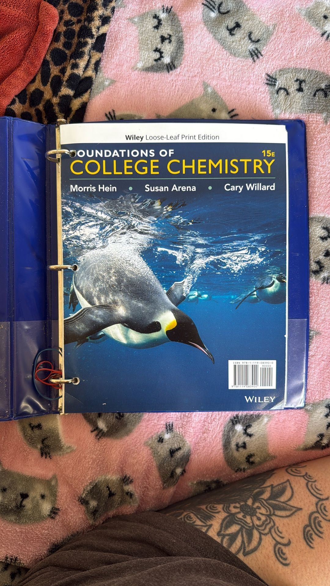 Wiley Foundations Of College Chemistry 15e