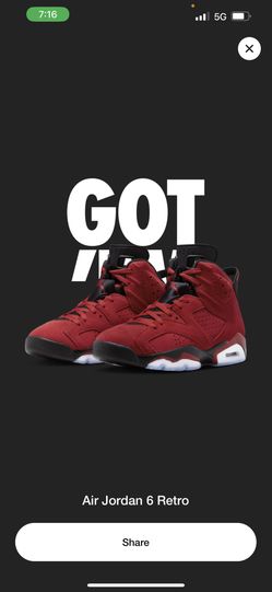 Jordan 6s Size 12 Toro