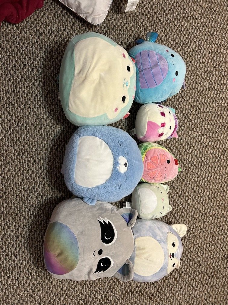 Squishmallow Lot