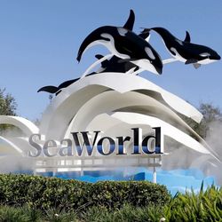 Seaworld Tickets/Boletos