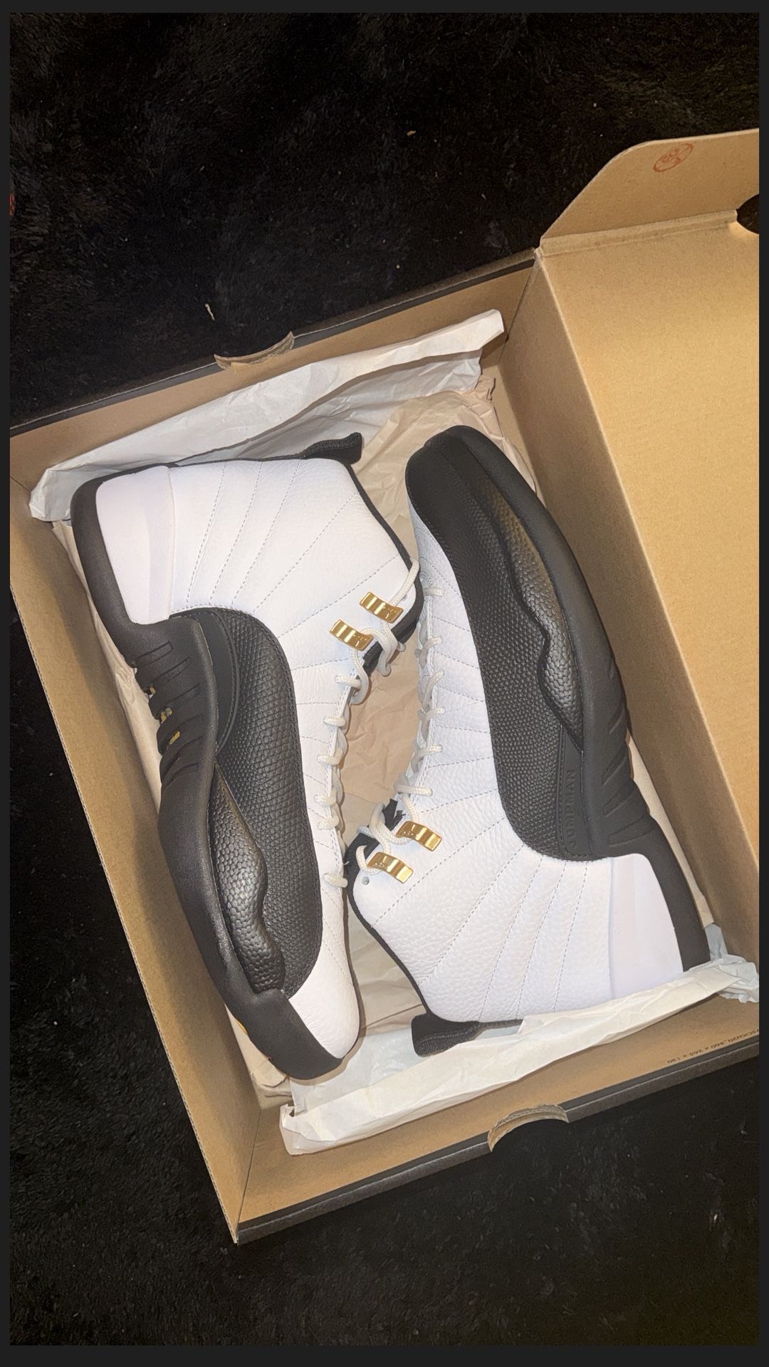 Ds Jordan 12 Taxi’s