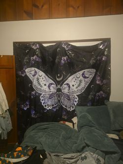 shower curtain