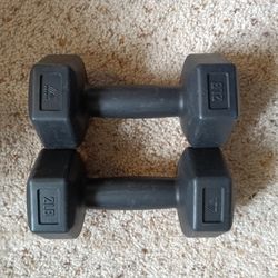 Two 2 lb dumbbells