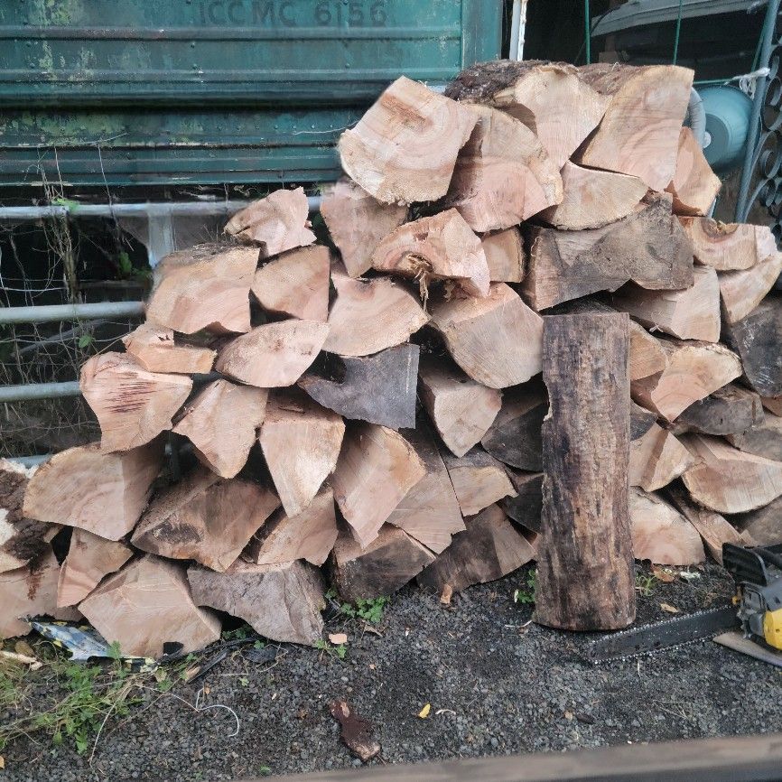 Dry Maple Fire Wood