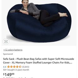 Adult Sized Bean Bag Chair