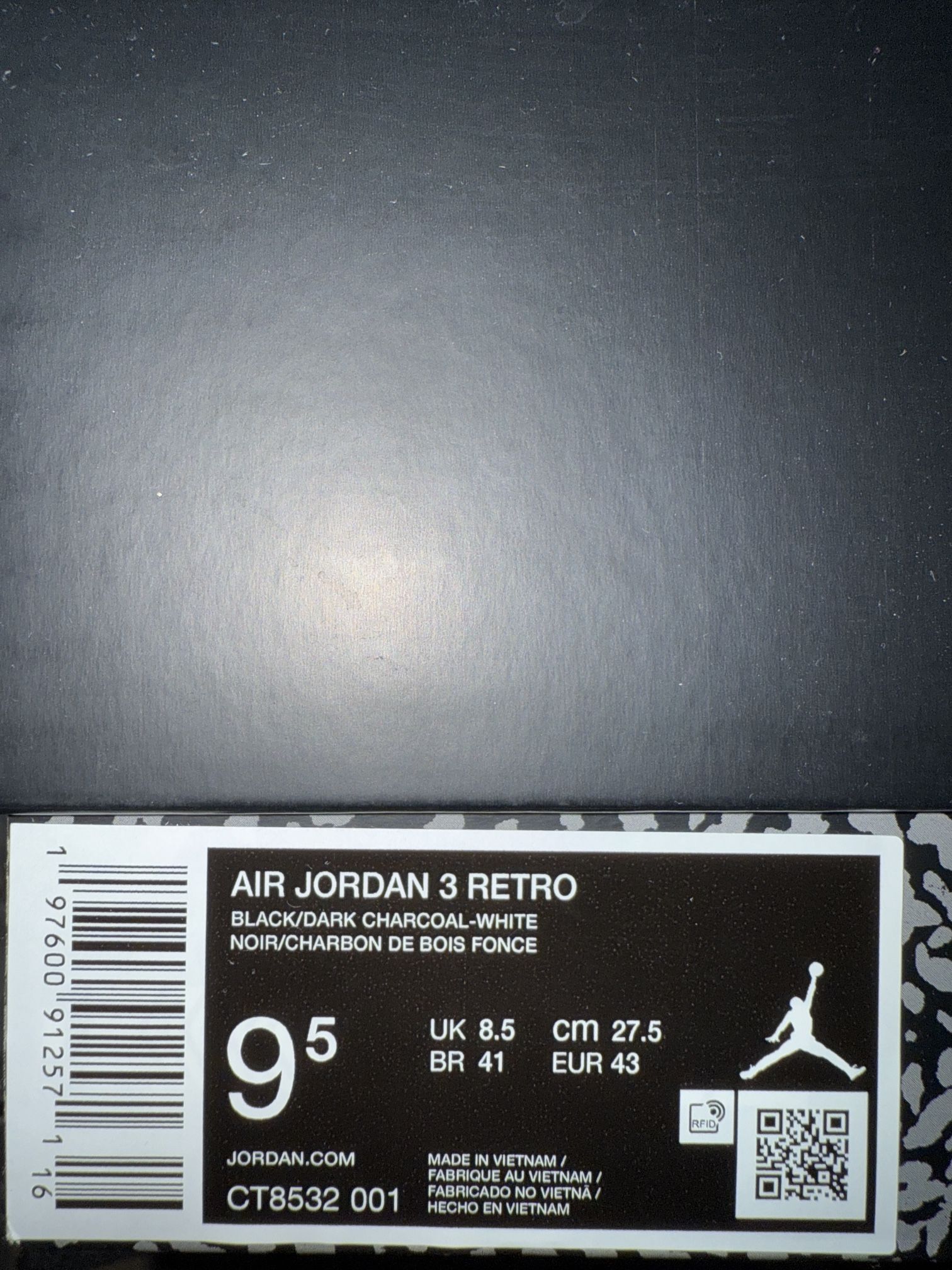 Air Jordan Black Cat 3 9.5