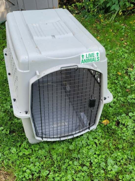 Medium/Large Dog Crate 