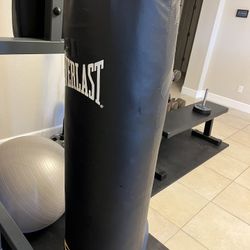 100 pound punching bag