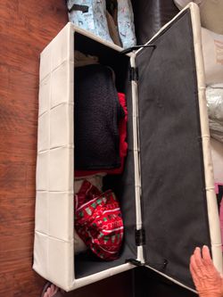 Storage couch