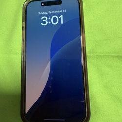 iPhone 15 Pro 256gb With Case