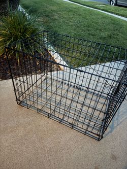 Kennel