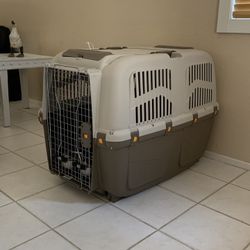 Large IATA Approved Dog Crate