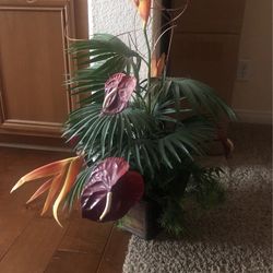 Tropical Plant Centerpiece 