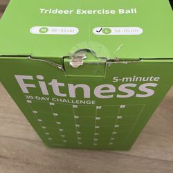 Trideer Fitness Ball 
