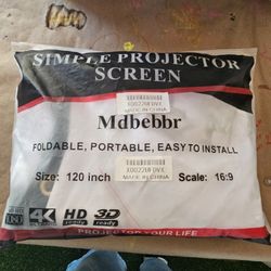 Projector Screen 