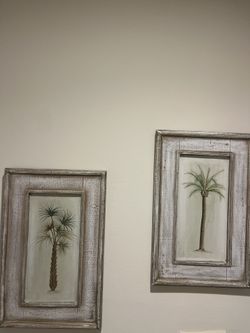 Two Palm Pictures Perfect Condition 