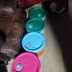 Detergent Detergente Five Gallon Bucket Cubeta De 5 Gallones. $35 Dollars 