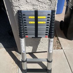 15.5 Telescopic Ladder