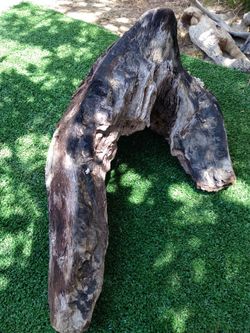 Driftwood For Aquariums Terrariums Decor