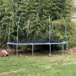 Trampoline 