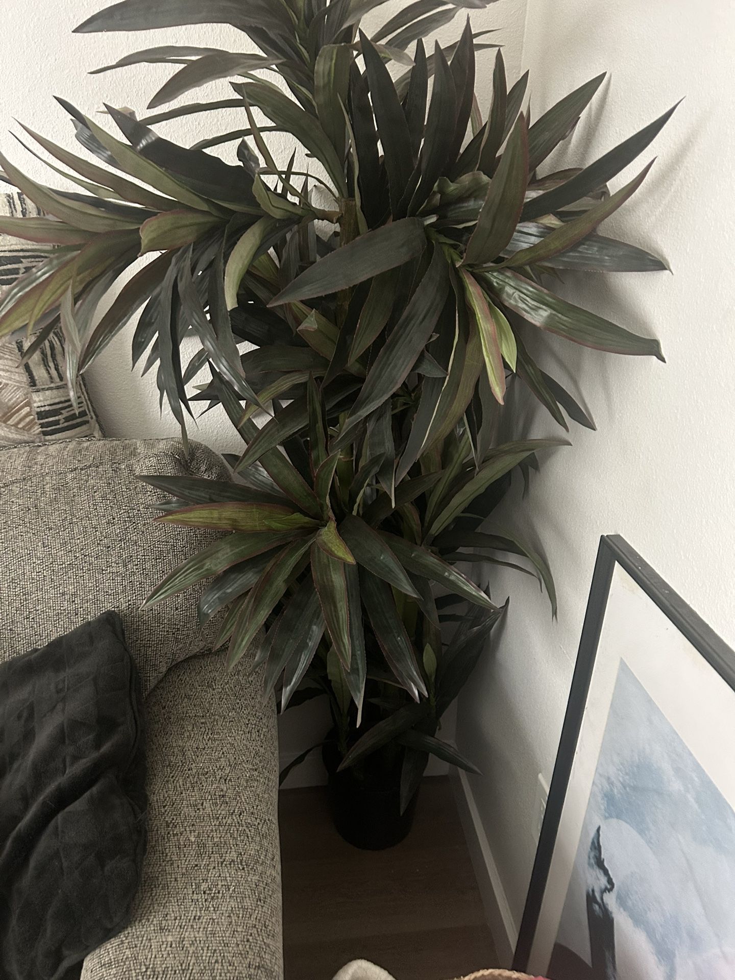 Fake Plant