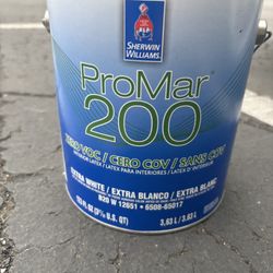 SHERWIN WILLIAMS PAINT FOR INTERIOR EGGSHELL ✅