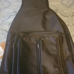 Guardian guitar case