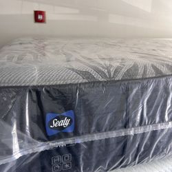 Sealy Queen Mattresses