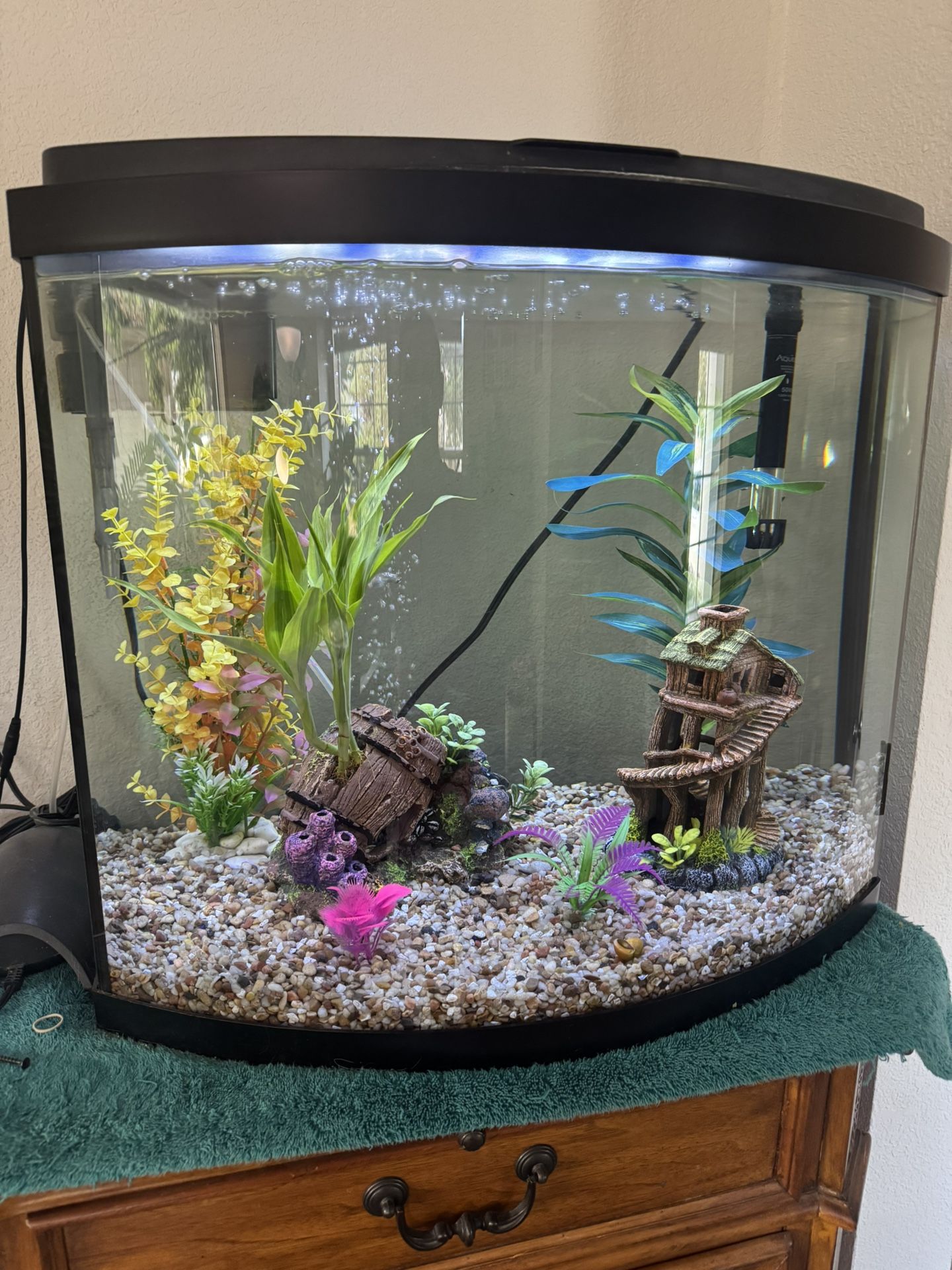 Fish Tank