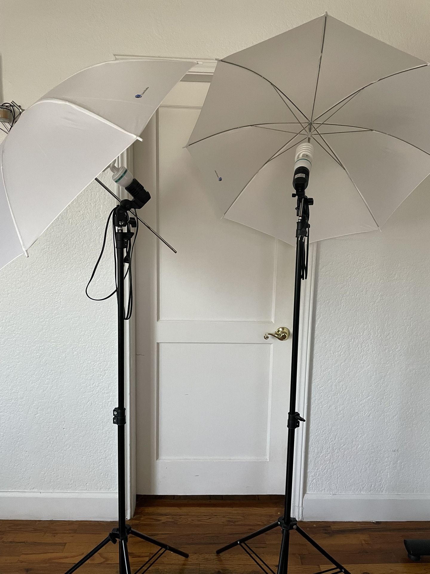 LimoStudio Photography - Video Studio Umbrellas