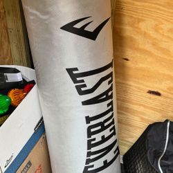 Everlast 70lb heavy bag