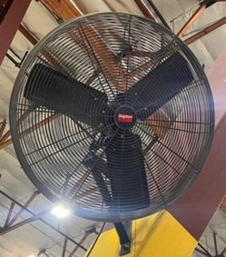Fan (70 Available)