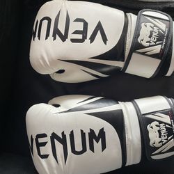 16oz Boxing Gloves 