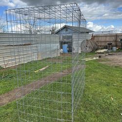 Cages 