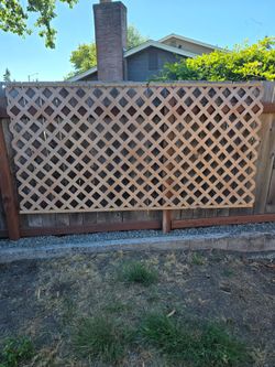 Lattice panel