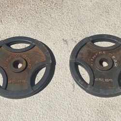 Fitness Gear 45 Lb Plate Pair