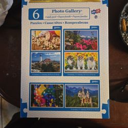 Puzzle Gallery 6 Puzzles 