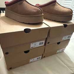 UGG Slippers Tazz II