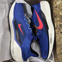 NEW Nike Air Zoom Pegasus 41 men shoes