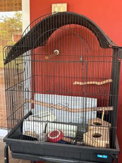 Bird house