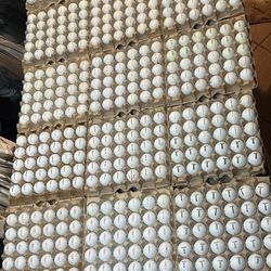 Variety Of Titleist Golf Balls