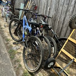 All This Bikes And Frames $50 For All
