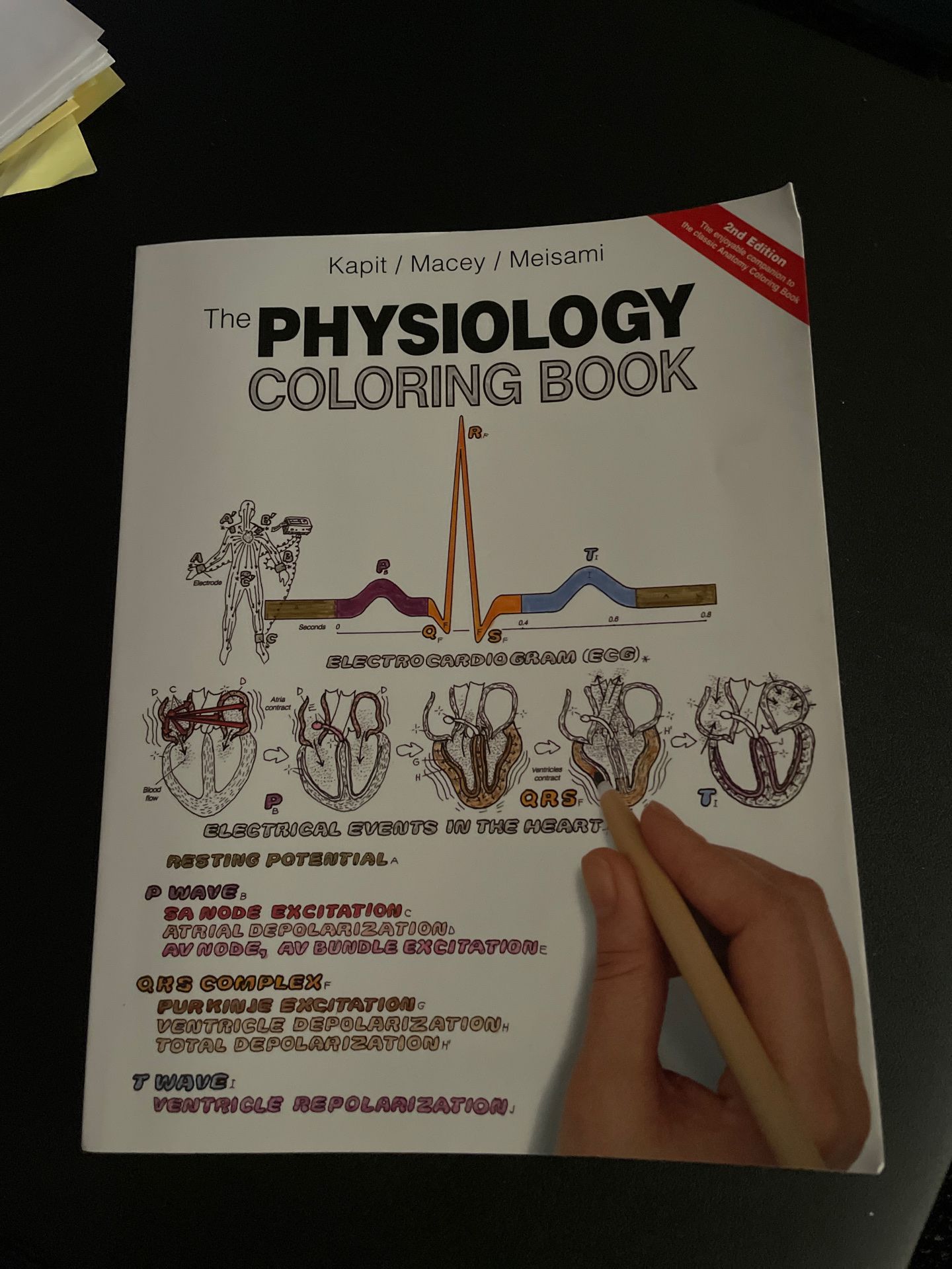 Physiology coloring book