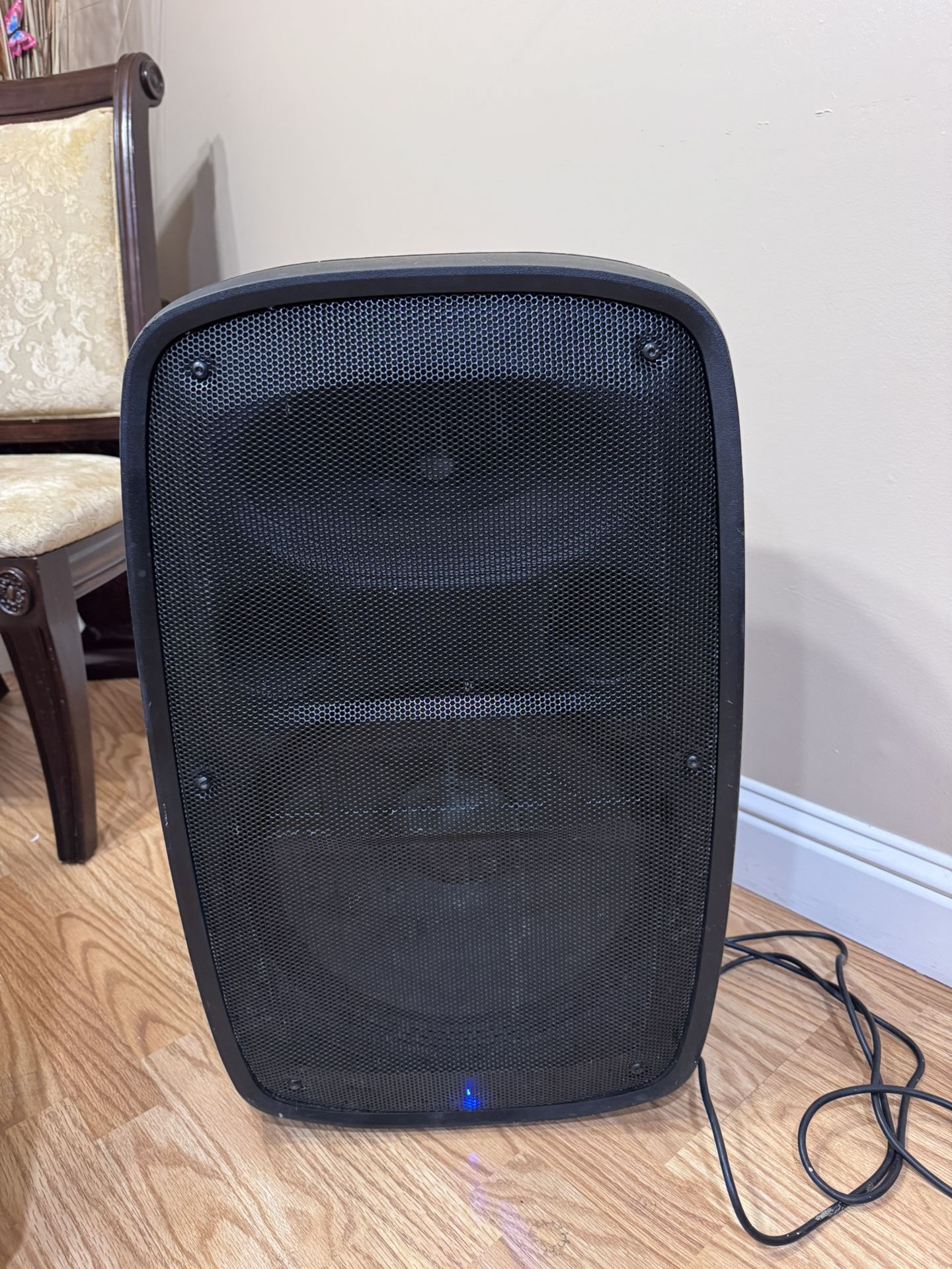 🔊 ION Audio Total PA Pro Bluetooth Speaker – Excellent Condition