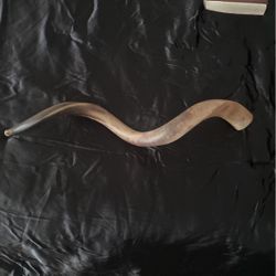 Shofar 