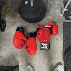 Spring Punching Bag And Gloves