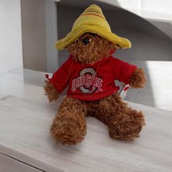 Ohio State Plush Bear Tostitos BCS National Championship 2007 