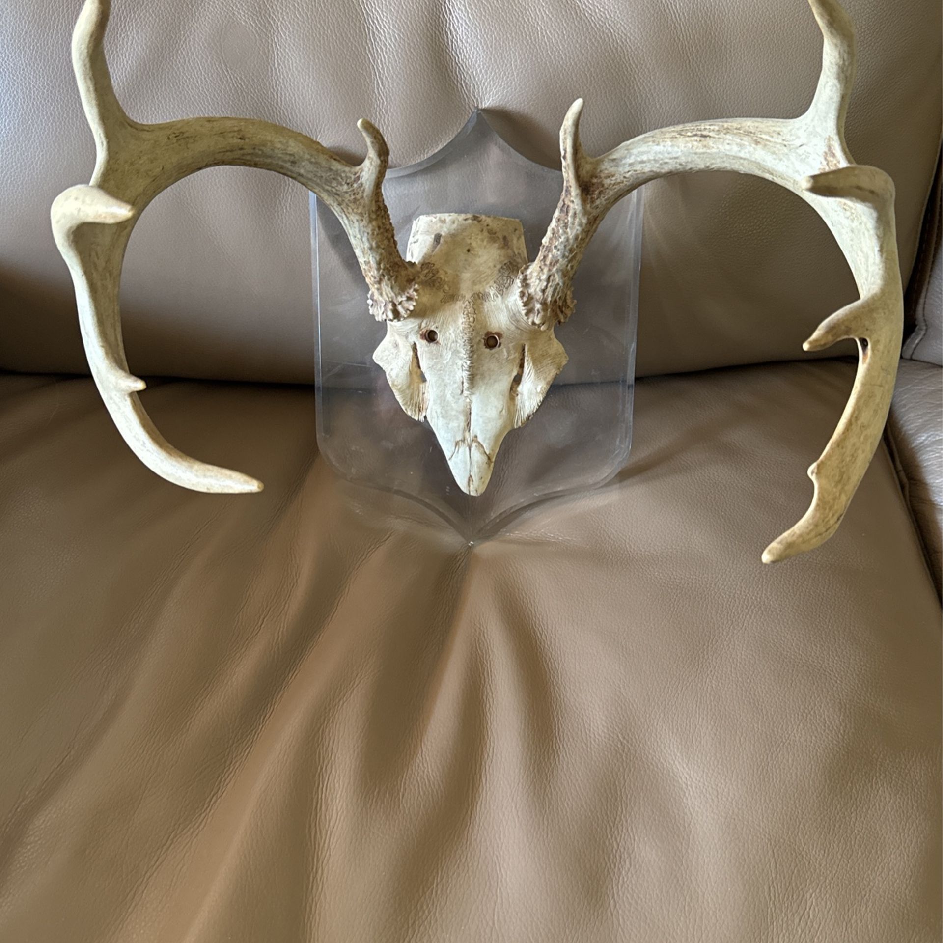 Two Sets Of Antlers On Lucite Wall Mounts